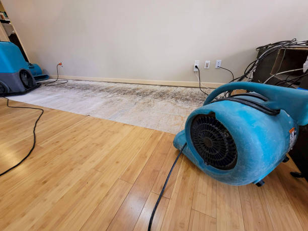 Professional Ceiling Water Damage Repair technician working in Dearing, GA